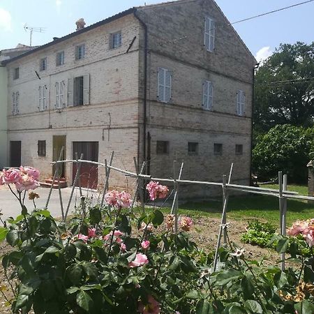 Casa Vacanze Da Peppa Grottazzolina Eksteriør billede