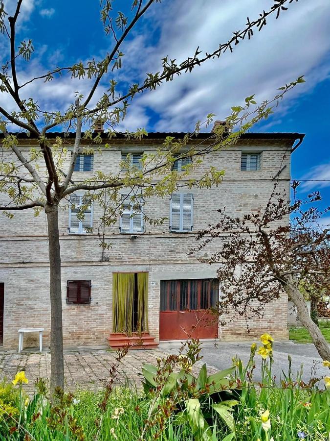 Casa Vacanze Da Peppa Grottazzolina Eksteriør billede