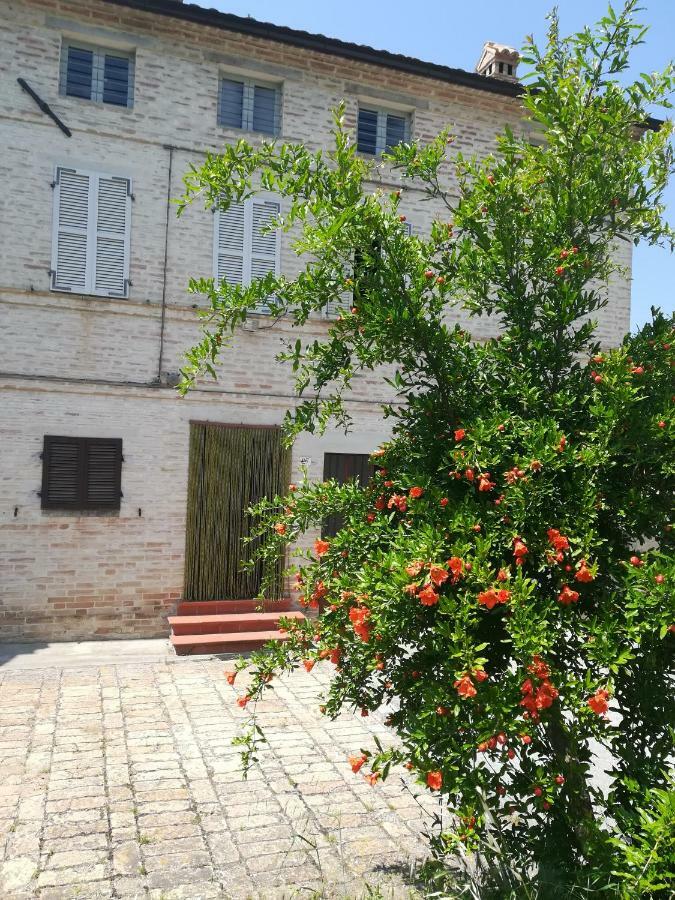 Casa Vacanze Da Peppa Grottazzolina Eksteriør billede