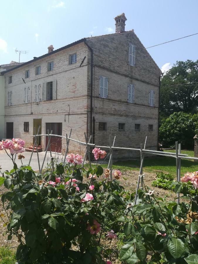 Casa Vacanze Da Peppa Grottazzolina Eksteriør billede