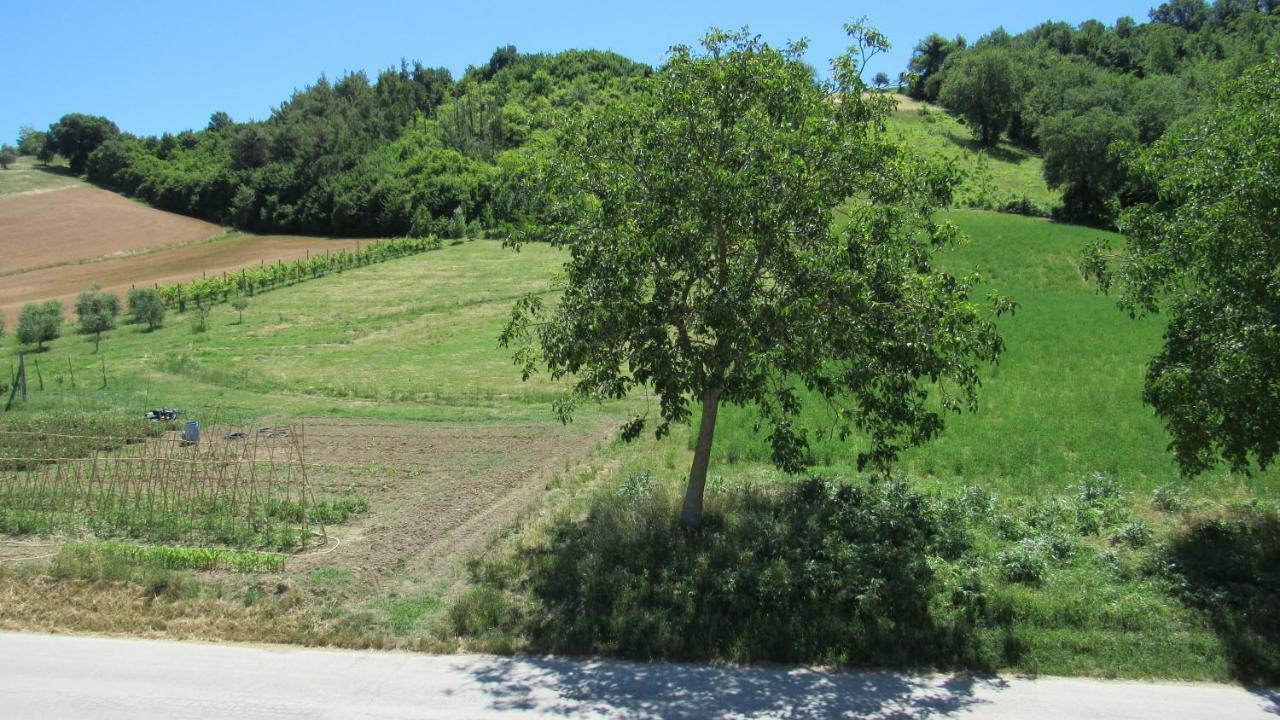 Casa Vacanze Da Peppa Grottazzolina Eksteriør billede
